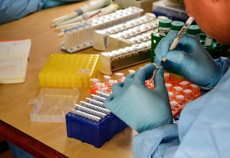 Laboratório identifica nova subvariante da Covid-19 em Mato Grosso: JN 2.5