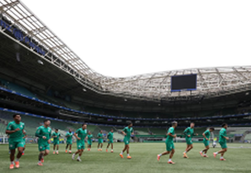 Palmeiras x Vitória: confira os detalhes do jogo e onde acompanhar