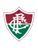 FLUMINENSE