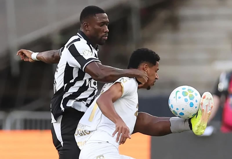 Botafogo vence no fim, bate a Chapecoense e sai na frente na Copa do Brasil
