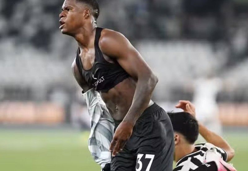Botafogo se aproveita de vacilos do Santos e vence no retorno do Brasileirão