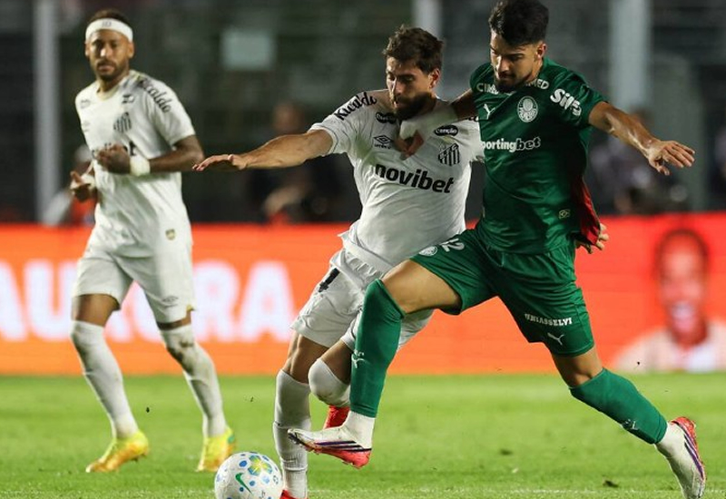 Verdão segura o Santos e avança às semifinais da Copa do Brasil