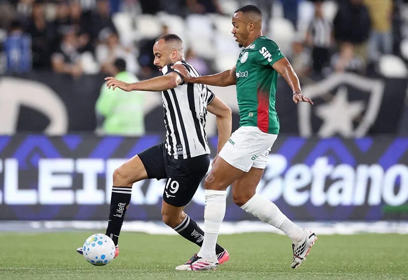 Palmeiras fica no empate com Botafogo e perde a ponta do Campeonato Brasileiro