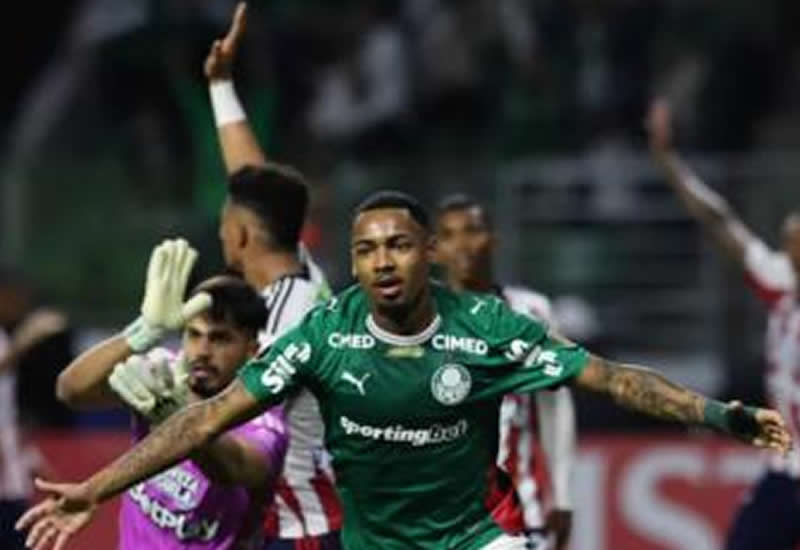 Palmeiras provoca Flamengo após críticas ao gramado do Maracanã e comentário sobre campo sintético
