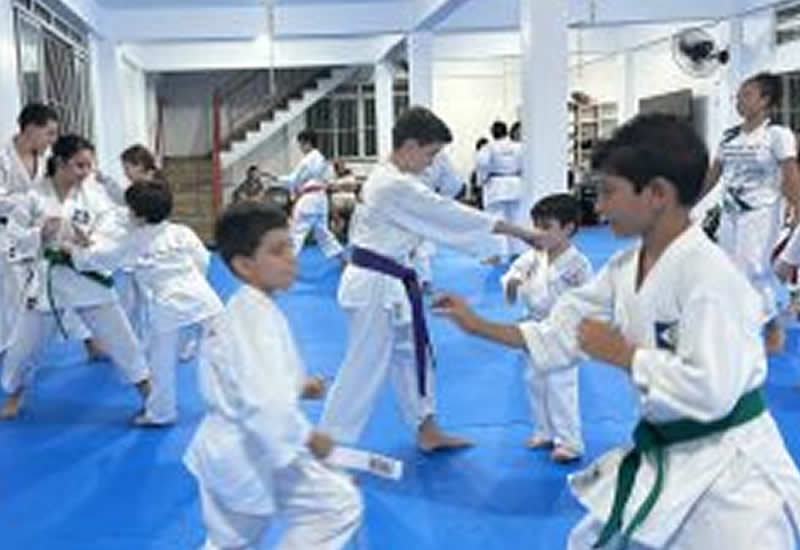 Shotokan realiza treinamento intensivo de Kata, Bunkai e Enbu para aprimorar técnicas do Karatê